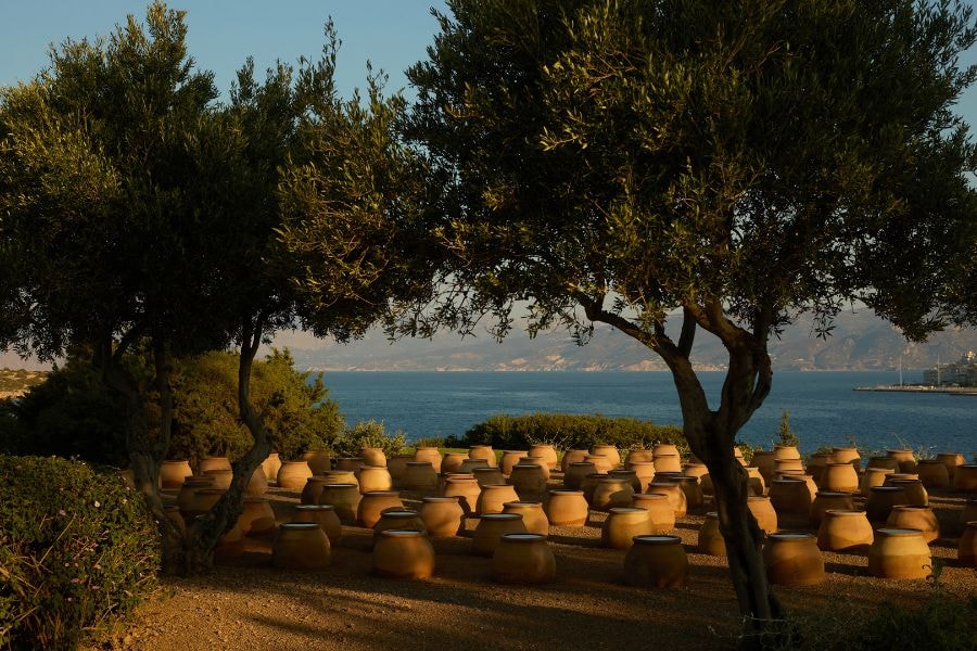 MinosPalaceResort_Art