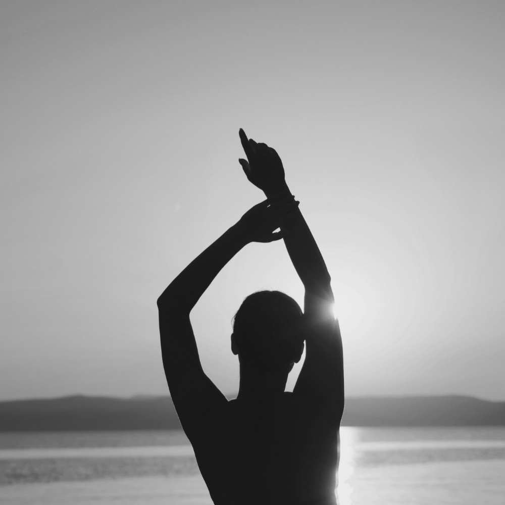 Longevity at a glance silhouette
